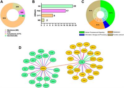 Genomic Characterization of Lactobacillus delbrueckii Strains with Probiotics Properties